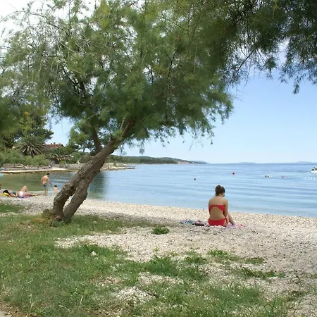 Magnificent In With Swimming Pool