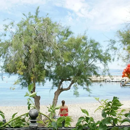 Hotel Magnificent In With Swimming Pool