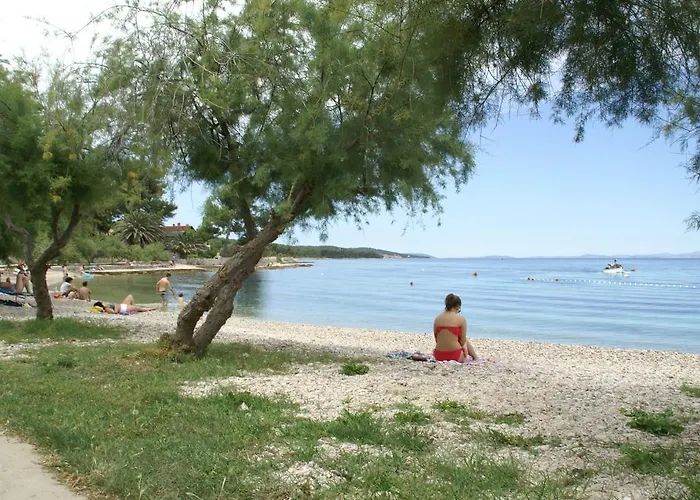 Magnificent In With Swimming Pool