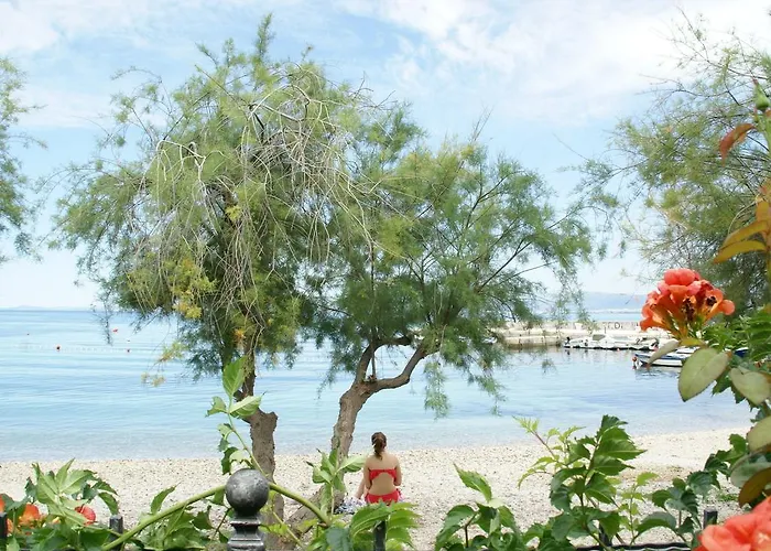 酒店 Magnificent In With Swimming Pool